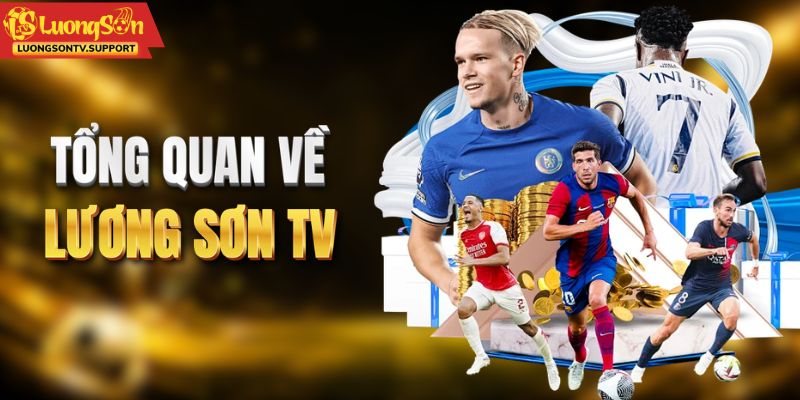 Tổng quan chung về website Lương Sơn TV